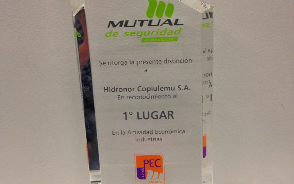 Hidronor primer lugar