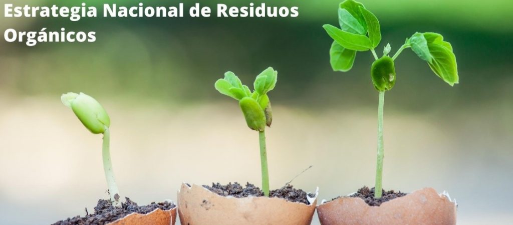 Estrategia Nacional de Residuos Orgánicos para reciclar el 66% de estos al 2040