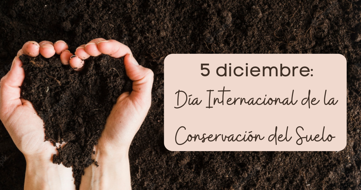 5 diciembre_Dia Internacional de la Conservacion del Suelo