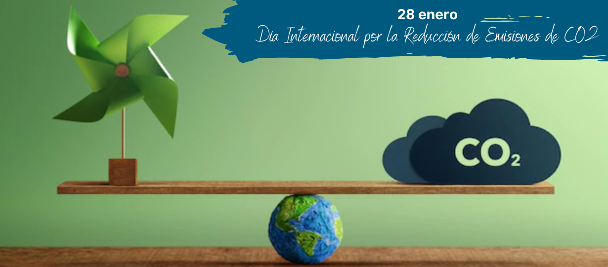 28 de enero Dia Internacional por la Reduccion de Emisiones de CO2